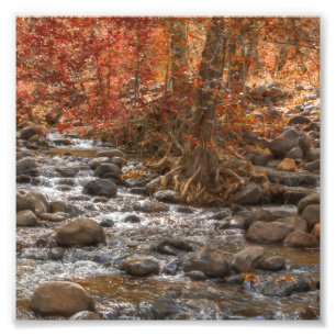 AUTUMN FOREST RIVER SEDONA ARIZONA PHOTO PRINT