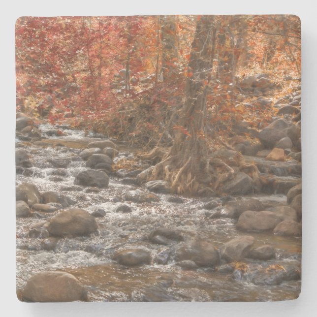AUTUMN FOREST RIVER SEDONA ARIZONA STONE COASTER (Front)