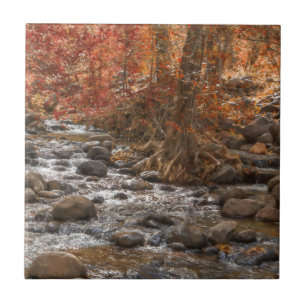 AUTUMN FOREST RIVER SEDONA ARIZONA TILE