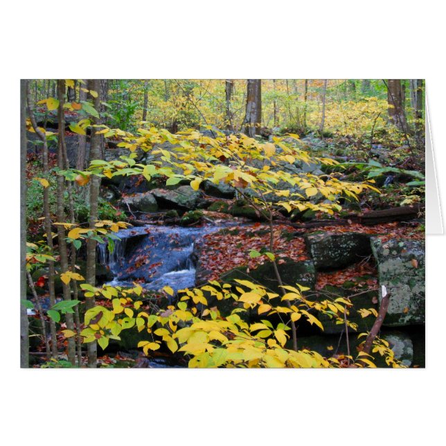 Autumn forest scene (Front Horizontal)