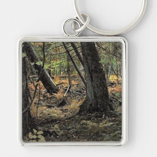 Autumn forest scene                key ring (Front)