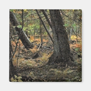 Autumn forest scene                magnet