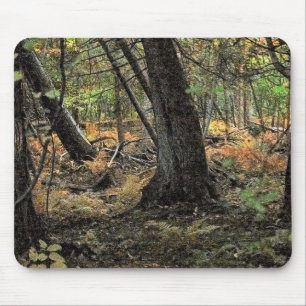 Autumn forest scene mouse mat