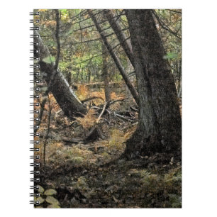 Autumn forest scene notebook