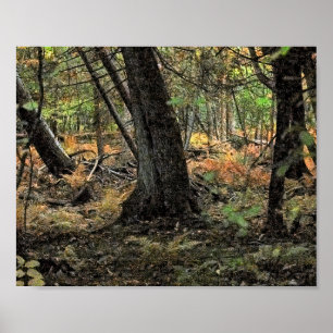 Autumn forest scene poster