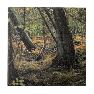 Autumn forest scene tile