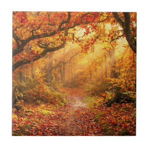 Autumn Forest Tile