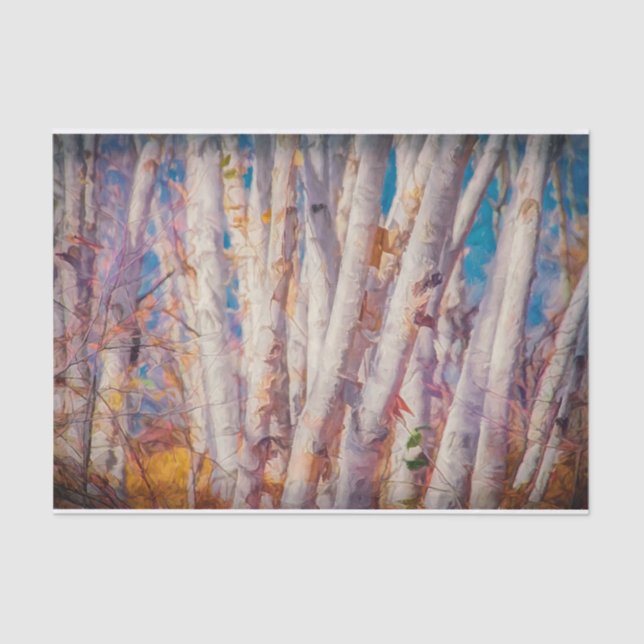 Autumn Forest White Birch Trees Tissue Paper (Front)