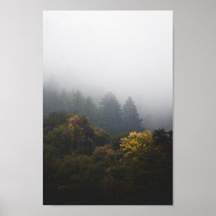 Autumn forest wrapped in fog poster