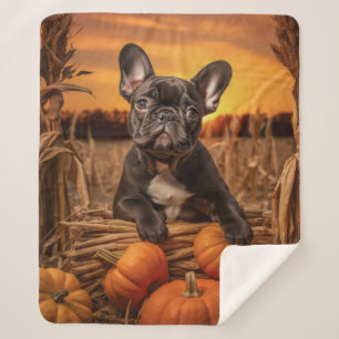 Autumn Frenchie Sherpa Blanket