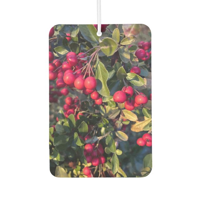 Autumn fruit car air freshener (Front)