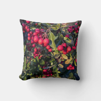 Autumn fruit cushion