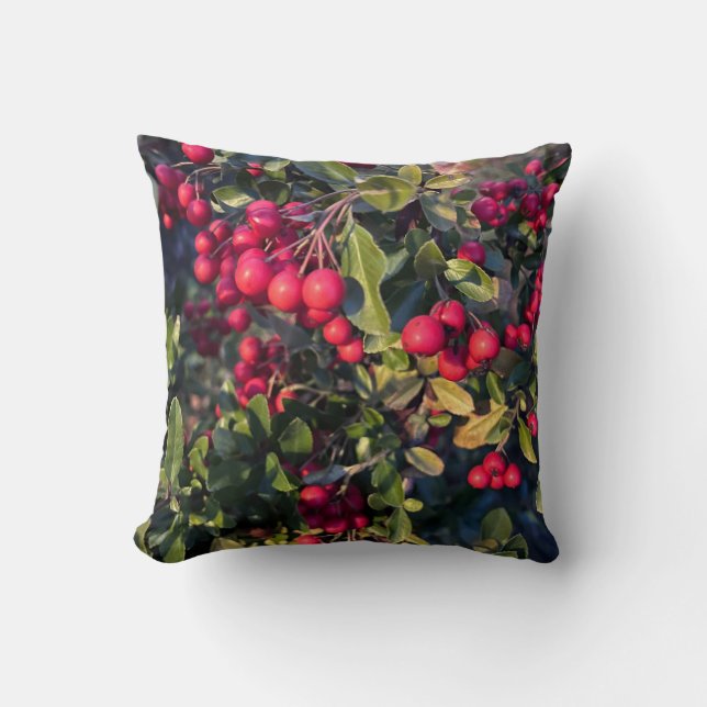 Autumn fruit cushion (Front)