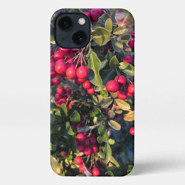 Autumn fruit iPhone case (Back)