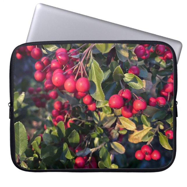 Autumn fruit laptop sleeve (Front)
