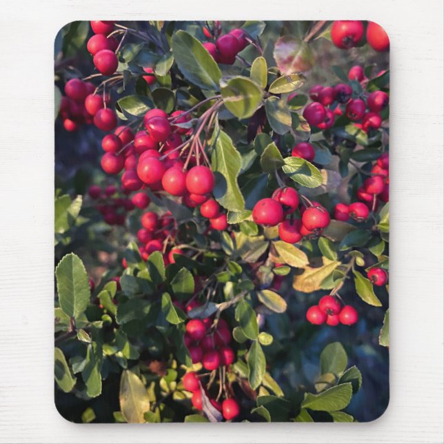 Autumn fruit mouse mat (Front)