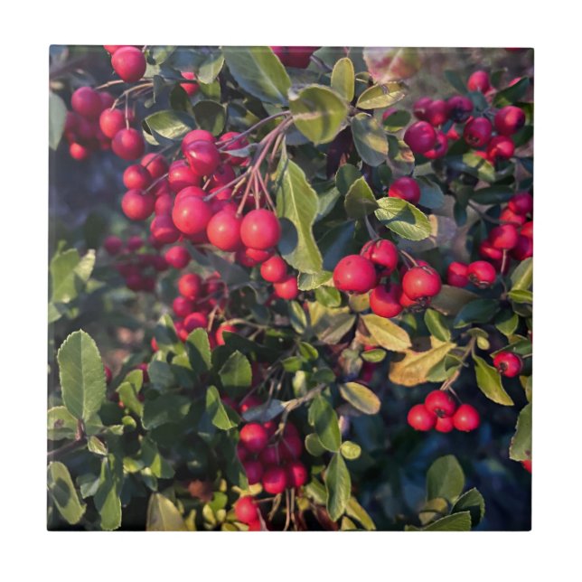 Autumn fruit tile (Front)