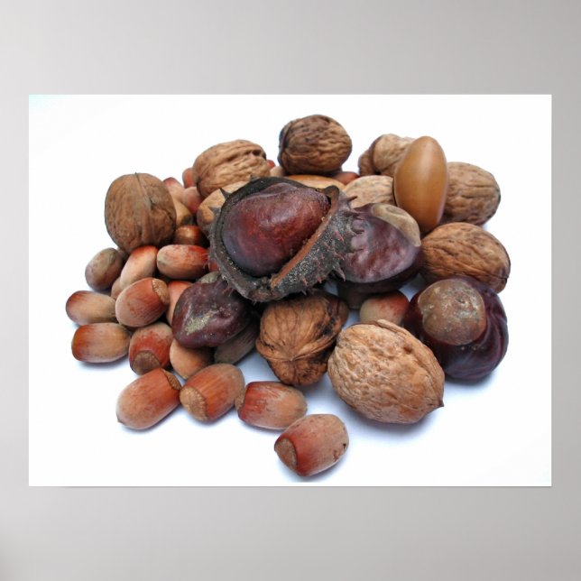 Autumn Fruits Poster (Front)