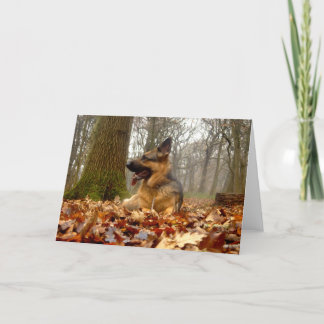 Autumn German Shepherd Card