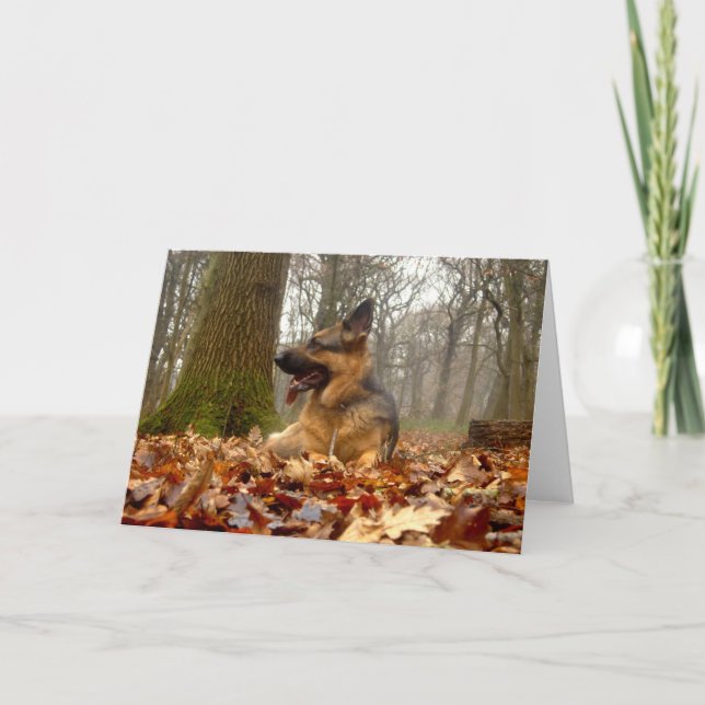 Autumn German Shepherd Card (Front)