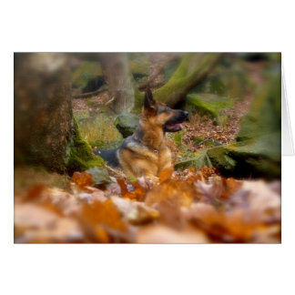 Autumn German Shepherd Card