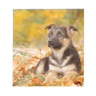 Autumn German shepherd dog puppy Notepad