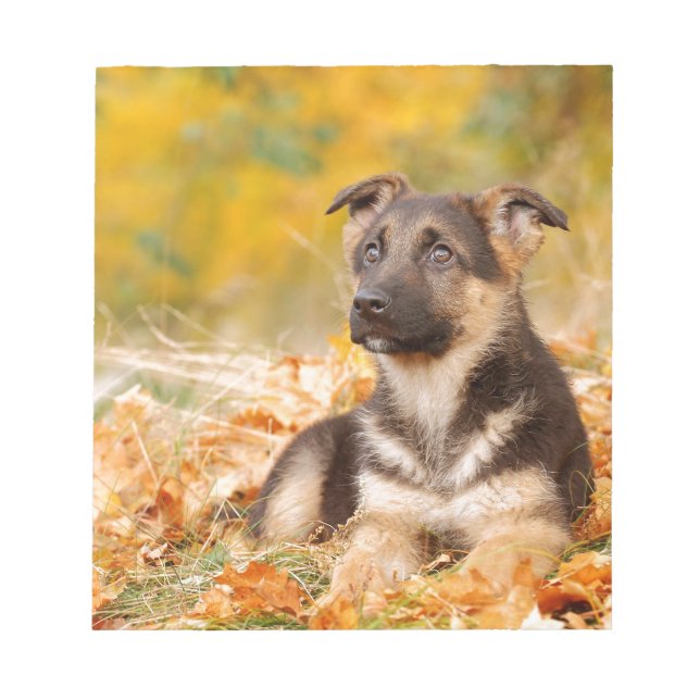 Autumn German shepherd dog puppy Notepad (Front)