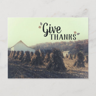 Autumn Give Thanks Retro Corn Cornstalk Harvest Postcard
