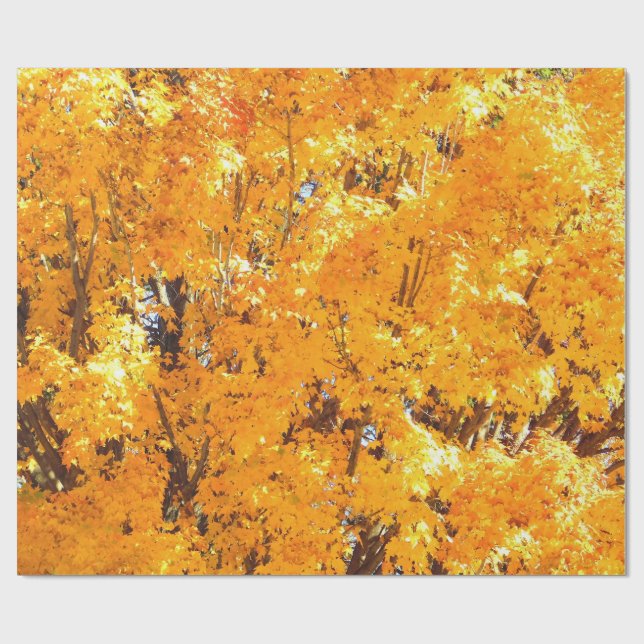 Autumn Gold Leaves Wrapping Paper (Flat)