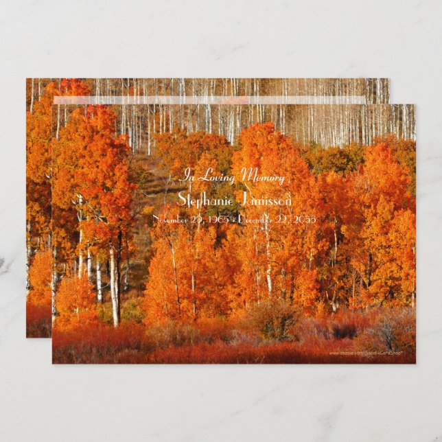 Autumn Golden Orange Aspens Celebration of Life  Invitation (Front/Back)