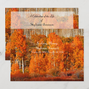 Autumn Golden Orange Aspens Celebration of Life  Invitation
