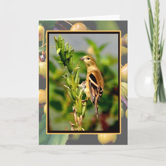 Autumn Goldfinch & Crabapples Notecard (Front)
