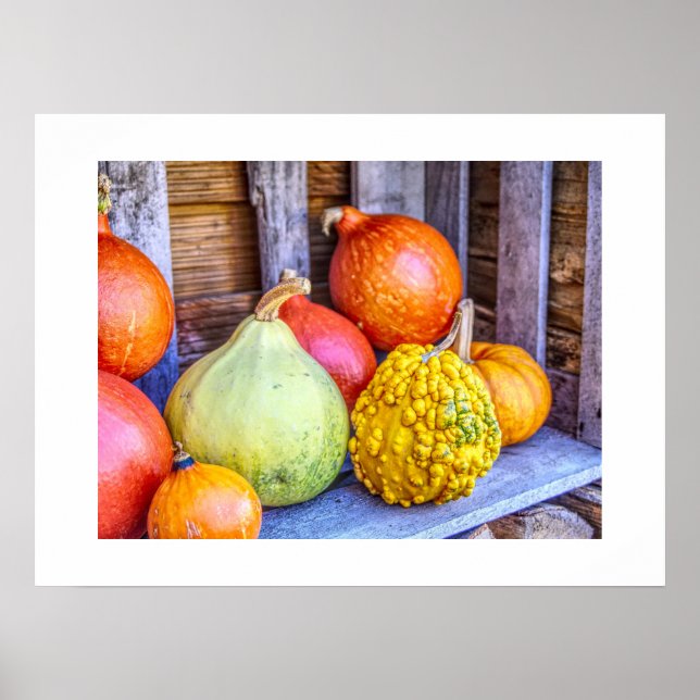 Autumn Gourds Poster (Front)