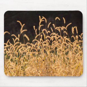 Autumn Grasses Mouse Mat