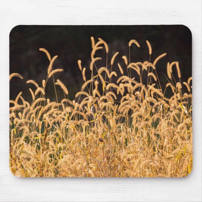 Autumn Grasses Mouse Mat (Front)