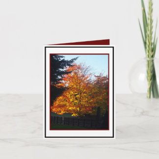 Autumn Greetings Card