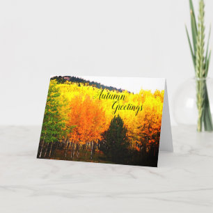 Autumn greetings holiday card
