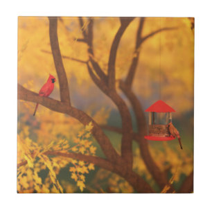 Autumn Guardian Decorative Tile / Trivet