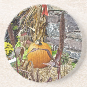 Autumn Harvest Bounty Coaster