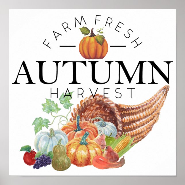 Autumn harvest cornucopia  poster (Front)