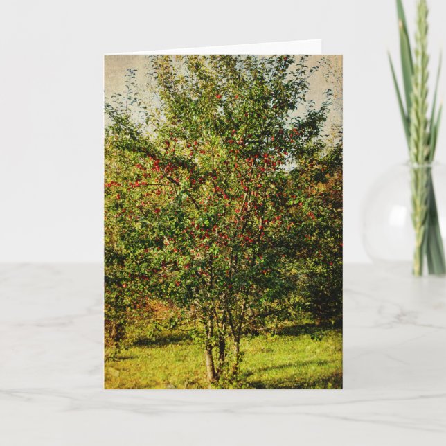 Autumn HArvest Holiday Card (Front)