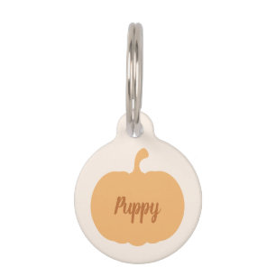 Autumn Harvest Little Pumpkin Custom Name Pet Tag