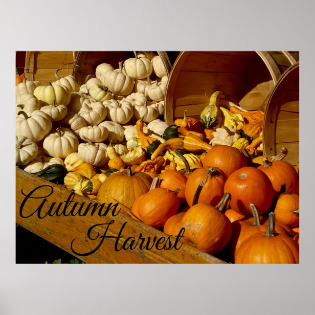 Autumn Harvest Poster (Front)