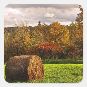 Autumn Harvest Square Sticker