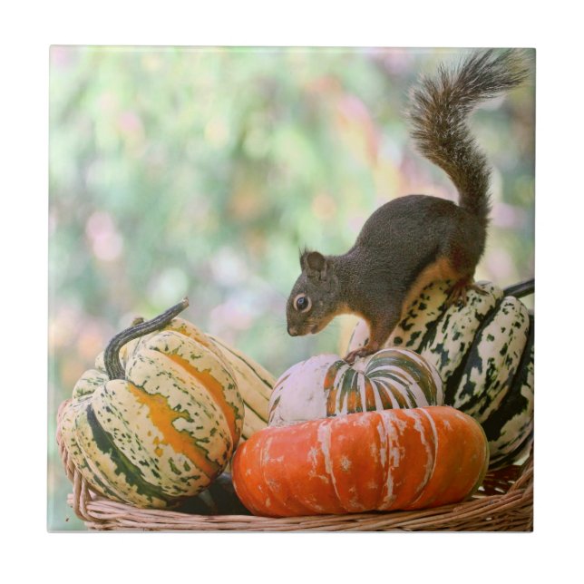 Autumn Harvest Squirrel Tile (Front)