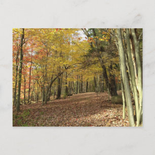 Autumn Harvest Thanksgiving Postcard