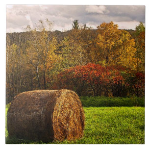 Autumn Harvest Tile