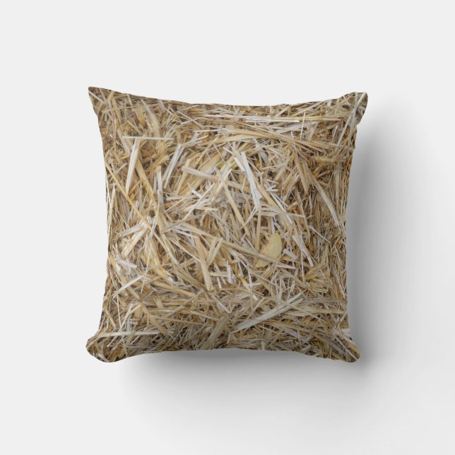 Autumn hay joke pillow (Front)