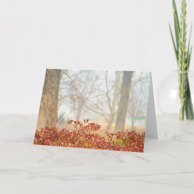 Autumn Haze 3 Greeting Card (Front)