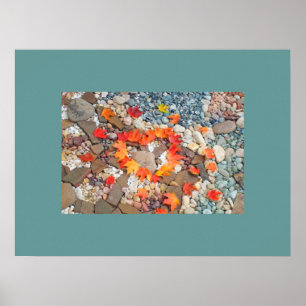 Autumn Heart Leaves design Rock Garden art prints